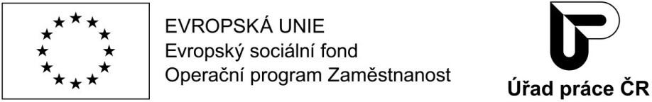 Podpora odborného vzdělávání zaměstnanců II (POVEZ II) – 2022